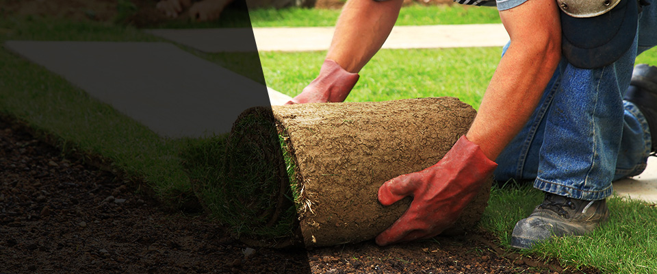 Verona Landscapers